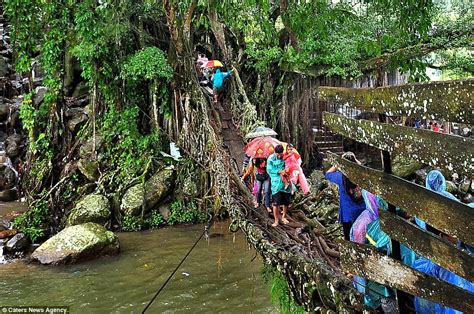 The Living Root Bridges Of Cherrapunji India Strange Places 02