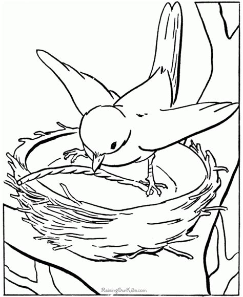 Simply do online coloring for american robin bird coloring page directly from your gadget, support for ipad, android tab or using our web feature. Get This Bird Coloring Pages Animal Printables for Kids ...