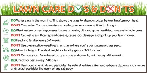 Crabgrass Have You Seeing Red Try These Lawn Care Dos And Donts For