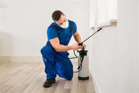 As a seller, the better a home looks the more potential for a higher selling price. Benefits of Starting a Pest Treatment Program Before You ...