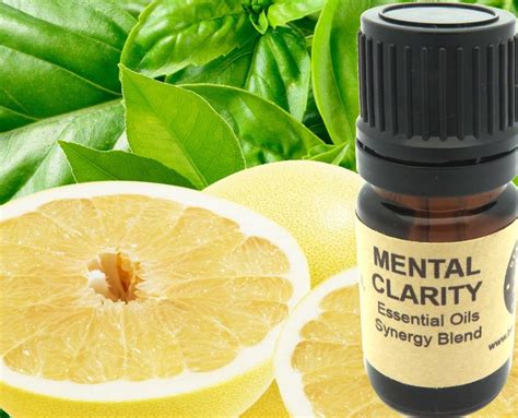 Mental Clarity Essential Oils Synergy Blend Etsy
