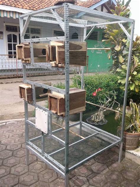 Maybe you would like to learn more about one of these? Contoh Cara membuat Kandang Koloni Ternak Lovebird ...