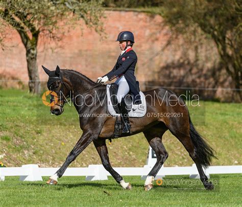 Image Rosalind Canter And Pencos Crown Jewel Thoresby International