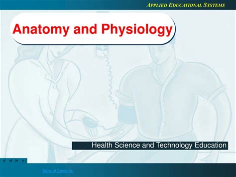 Ppt Anatomy And Physiology Powerpoint Presentation Free Download