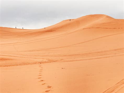 Visit Coral Pink Sand Dunes State Park In Kanab Expedia