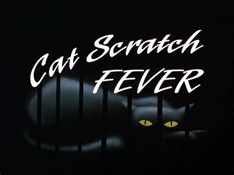Cat Scratch Fever Batmanthe Animated Series Wiki Fandom Powered By