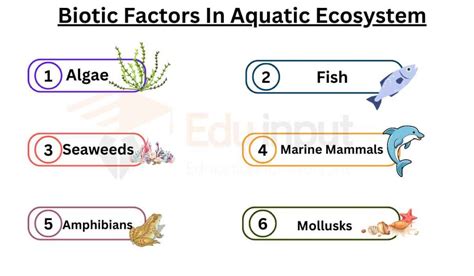 Biotic Factors In Aquatic Ecosystem