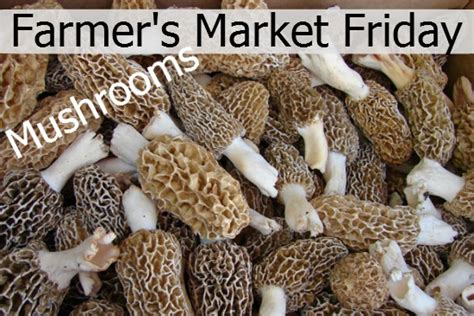 Farmer's Market Friday: Mushrooms Recipe | Pocket Change Gourmet