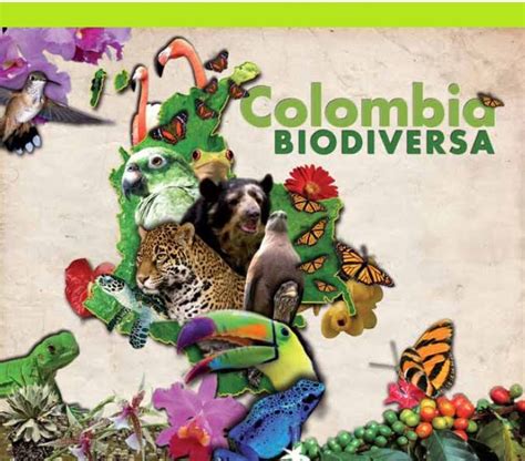 fauna y flora de colombia biodiversidad colombiana