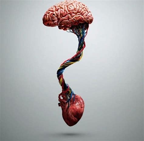 Heart And Brain Connection 2023 Know About It Here