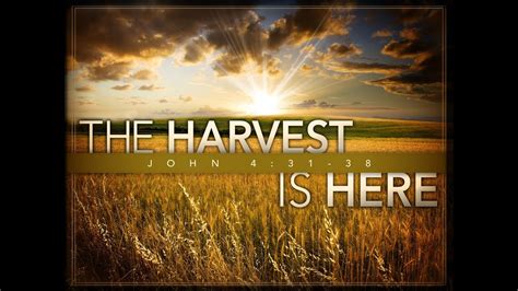 11152015 The Harvest Is Here Youtube