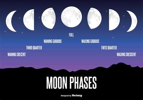 Moon Phase Illustration Download Free Vector Art Stock Graphics And Images
