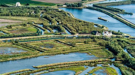 L'assetto idraulico recente è anche conseguenza del terremoto di ferrara del 1570 e del taglio di. Nel Parco del Delta del Po nasce il Green Tour-Verde in ...