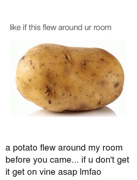 Or potato is mistaken for tornado in the song  thinking bout' you by frank ocean. A Potato Flew Around My Room Before You Came Lyrics ...