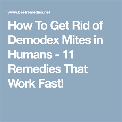 How To Get Rid Of Demodex Mites In Humans 11 Remedies That Work Fast