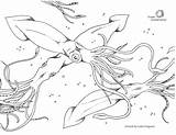 Coloring Fisheries Sustainable Oceanconservancy sketch template