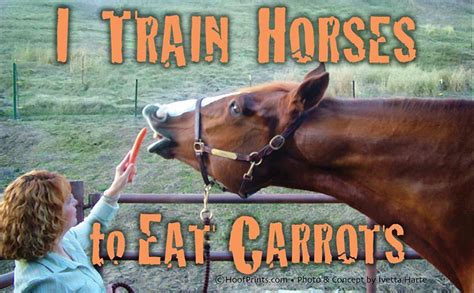I Train Horses To Eat Carrots Gina Keeslings Blog Positive Training