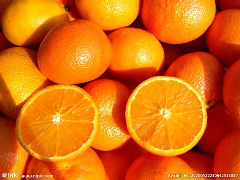 新鲜橙子摄影图水果生物世界摄影图库昵图网
