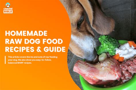 Homemade Raw Dog Food Easy Barf Diet Recipes Vet Approved Canine Bible