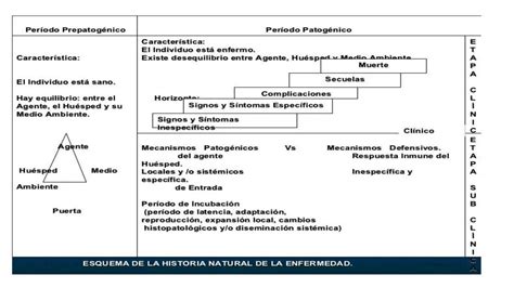 Historia Natural De La Enfermedad Enrique Araujo Udocz