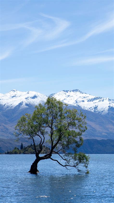 Download Wallpaper 1350x2400 Tree Lake Mountains Wanaka New Zealand