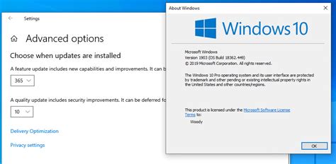 Looks Like Win10 Version 1903 Will Get A Fix For The Windows Update