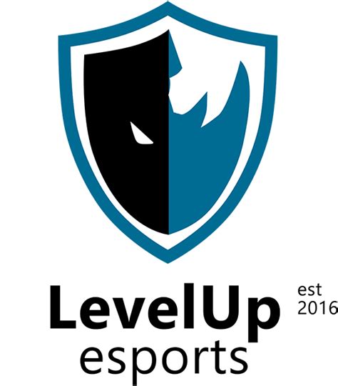 Team Level Up Logo