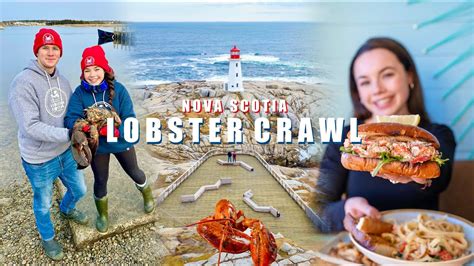 Lobster Crawl Along The South Shore Of Nova Scotia 🦞 Youtube