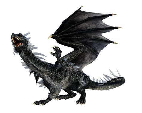 Download Dragon Black Dragon Animal Royalty Free Stock Illustration