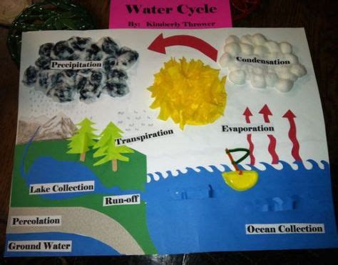 Best Images About Th Grade Anchor Charts Water Cycle Water