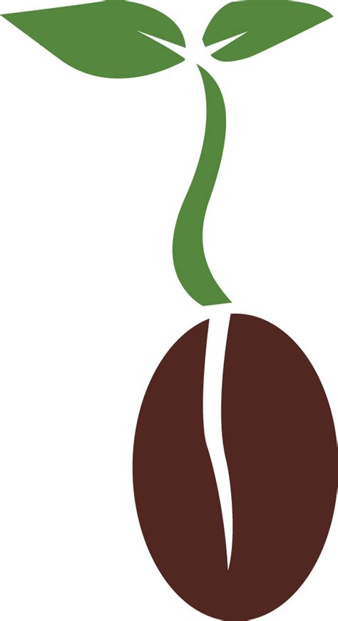 Seed Png Clipart Png All
