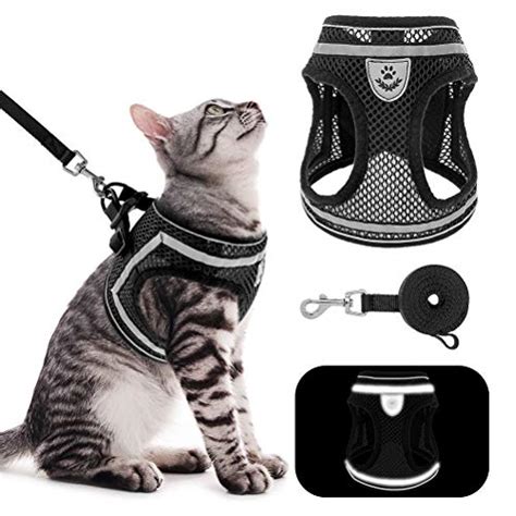 The Best Cat Harnesses 2022 Cats Patrol