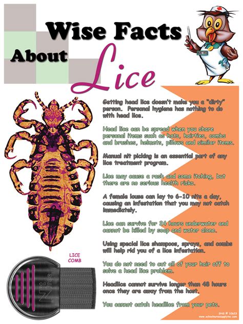 Sns Wise Facts About Lice Poster