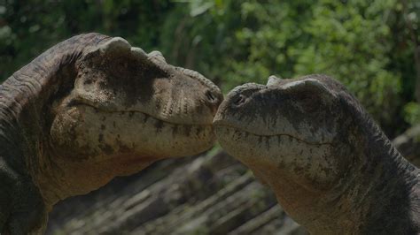 Prehistoric Planet T Rex As Gentle Lover In Tender Mating Scene