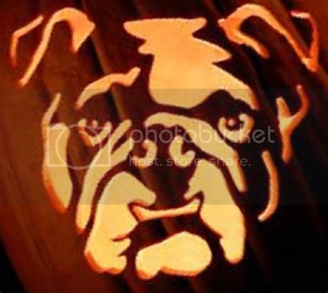 Best Templates Bulldog Pumpkin Stencil