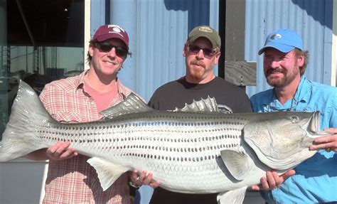 However, how you record bass guitar in fl studio is slightly different. The Top 5 Biggest Bass World Records | OutdoorHub