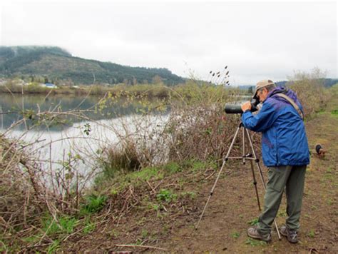 Cascade Ramblings Ramblings Birding At Yoncalla Pond Yoncalla Oregon
