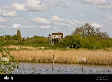 Shelter Bird Hide Wooden Lake Lake Hi Res Stock Photography And Images