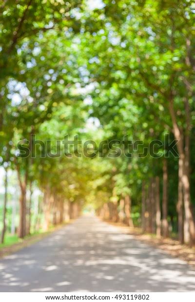 Blurred Abstract Background Road Green Trees Stock Photo Edit Now