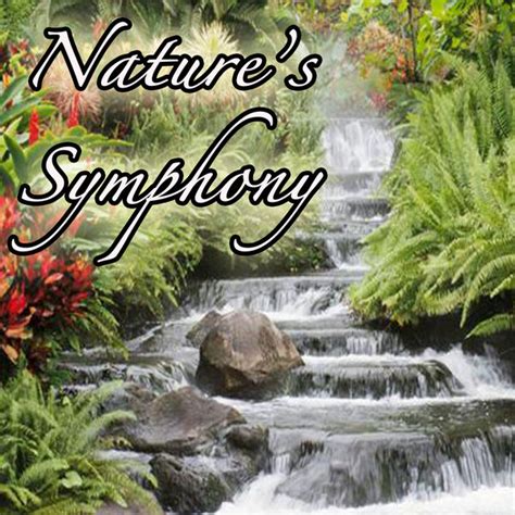 Natures Symphony Music From Outdoors Nature Environment Earth And