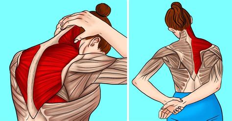 11 Stretches To Relieve Neck And Shoulder Tension Bright Side
