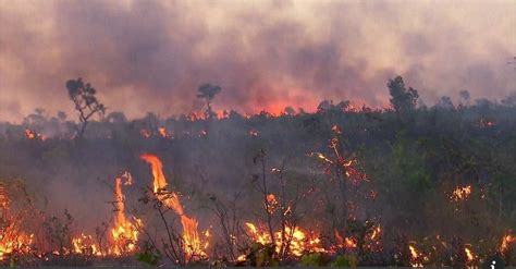 Jun 23, 2021 · um incêndio atingiu cerca de 40 barracos na manhã de hoje em uma favela perto da ponte aricanduva, na penha, zona leste de são paulo. O drama do Pantanal alimentado pelo drama da Amazônia ...