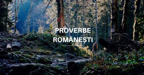 288 Proverbe Românești Proverbe Scurte și înțelepte