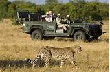 Images of Safari Kruger National Park