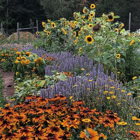 Planting For Pollinators: Create A Beautiful Bee Friendly Garden