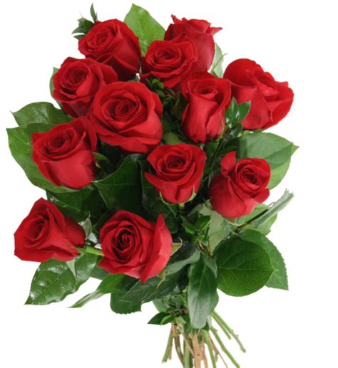 Corone di laurea bouquet orchidee rose rosse primavera mazzo di rose a gambo lungo Flowers Milano - Consegna fiori a domicilio Milano e dintorni - 9 mazzo classico composto da 12 ...