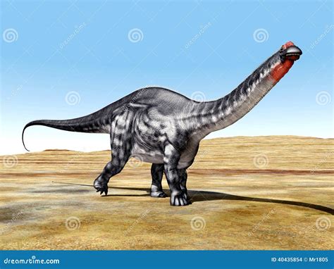 Dinosaur Apatosaurus And Human Size Comparison Royalty Free