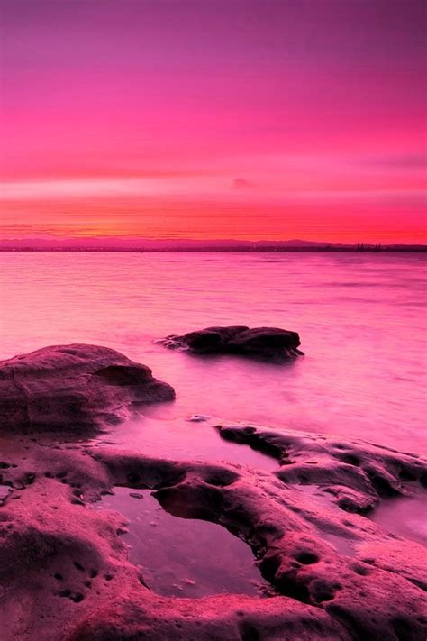 Pink Pink Sunset Pink Sky Pink Ocean