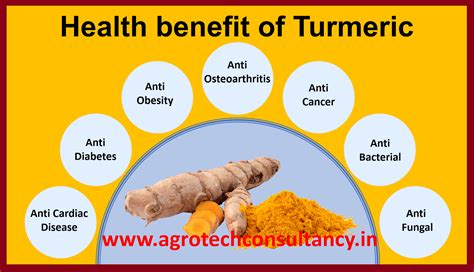 Medicinal And Aromatic Plant Health Benefit Of Turmeric Haldi