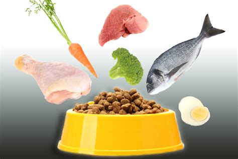 4 Common Myths About Pet Food Ingredients Animal Wellness Magazine